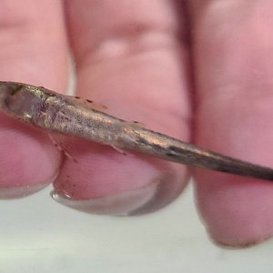 20201205_212125.jpg