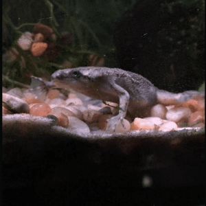1607380169512.png