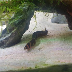 20201208_211556.jpg