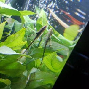 20201209_220439.jpg