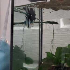 20201209_234453.jpg