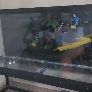 20201210_163027.jpg