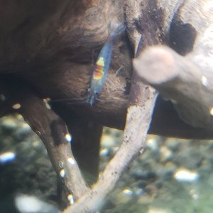20201210_224019.jpg