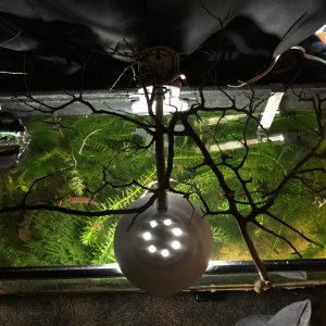 D55AB283-9935-42CC-994C-1FCDF3A7A1E7.jpeg