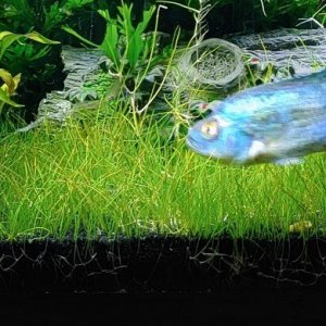 20201203_160648_HDR~3.jpg