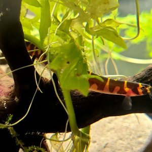 20201219_214451.jpg