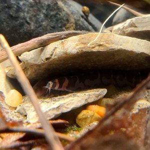 20201219_214126.jpg