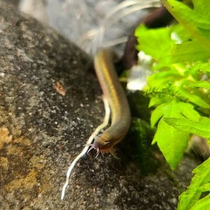 20201219_212838.jpg