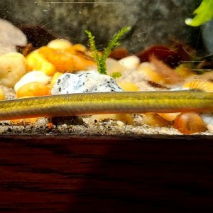 20201219_212823.jpg