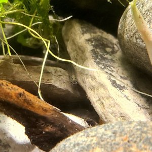 20201219_181851.jpg