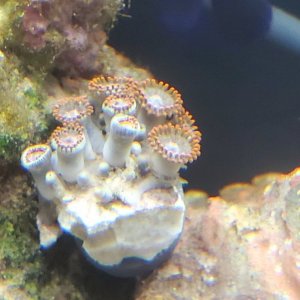 20201225_130126.jpg
