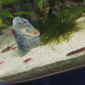 20201226_102248.jpg