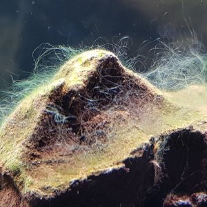 20201227_100710.jpg