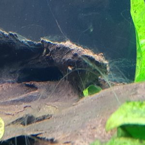 20201227_100725.jpg