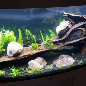 20201227_114514.jpg