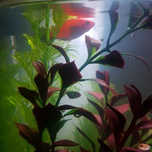 20201227_170410.jpg
