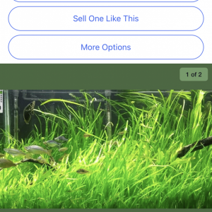 DB01D085-9FB8-439D-BFE0-53EF110FE3BE.png