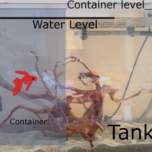 container.jpg