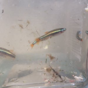 20201230_132901.jpg