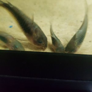 20201230_155137.jpg