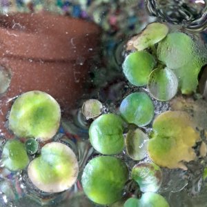 20201230_222843.jpg