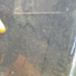 20201230_223256.jpg