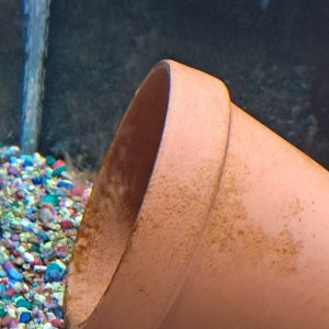 20201230_223249.jpg