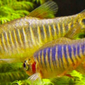 20201231_175223.jpg