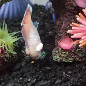 20201227_130115.jpg
