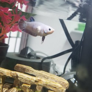 20201227_130149.jpg