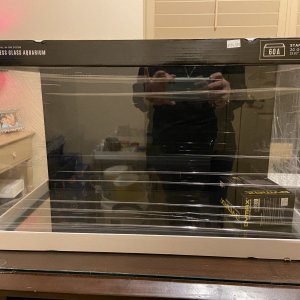IMG_6717.jpeg