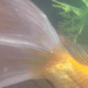 20210103_095427_1.gif