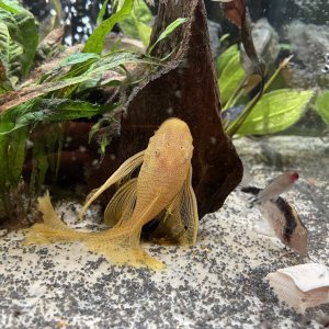 IMG_0116.JPG
