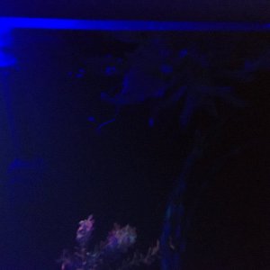 C1CEE625-722A-41CE-B2C1-6014F921D318.jpeg