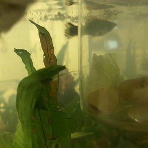 7D929625-B4EC-4350-8E7C-01937C8E80E3.jpeg