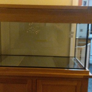 IMG-20201207-WA0007.jpeg
