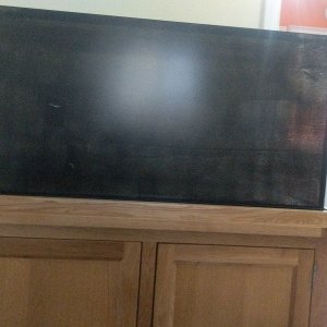 IMG-20201209-WA0007.jpeg