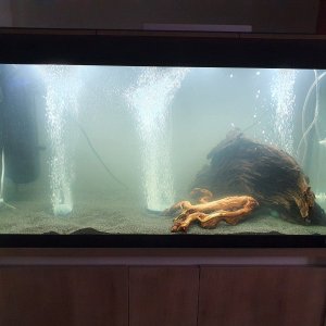 tank pic 1.jpg