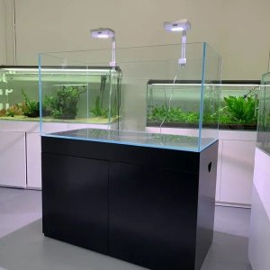 tank2.jpg
