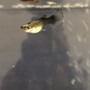 21272FB9-29EC-41DA-8CA2-40BD477FDC57.jpeg
