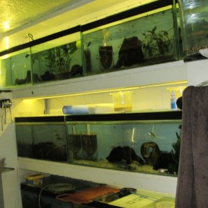 IMG_6332.JPG