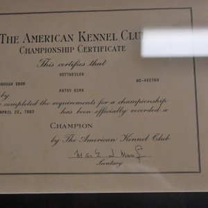 Brough's American Championship Title.jpg