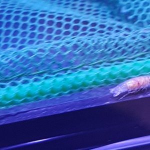 20210119_151412.jpg