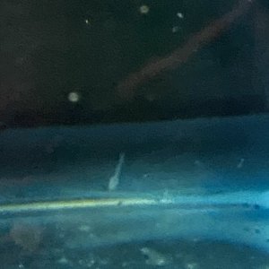 77D093C8-5B7E-418B-A2CA-6E5A5B74ACB2.jpeg
