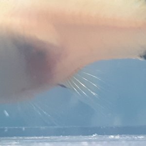 16114251781506262244478155268971.jpg
