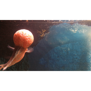 546AB17E-7298-46A0-B576-EFA26D58B1AB.png