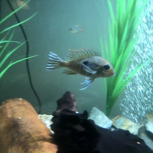 256AE3D3-B4BF-49CC-AFB0-BB1DF35BFB06.jpeg