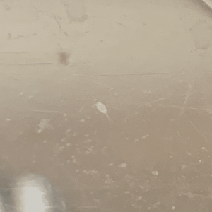 IMG-6254.PNG