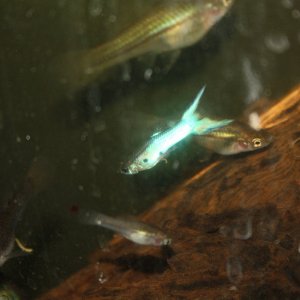 IMG_8859.JPG