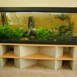 Cider block aquarium stand1.jpg